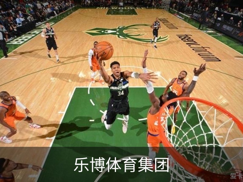 了解乐博体育集团